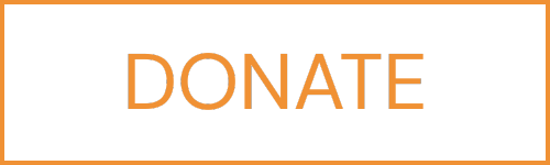button_-_donate_orange.png ( button - DONATE oran) button donate orange